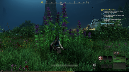 New World - Hemp Resource Node
