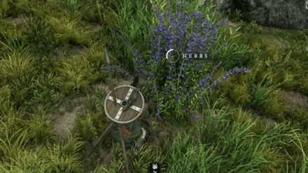 New World - Harvest Herbs