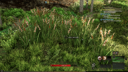 New World - Bulrush Resource Node