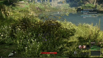 New World - Briar Branches Resource Node