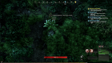 New World - Fronded Petalcap Resource Node