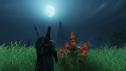 New World - Wirefiber Plants