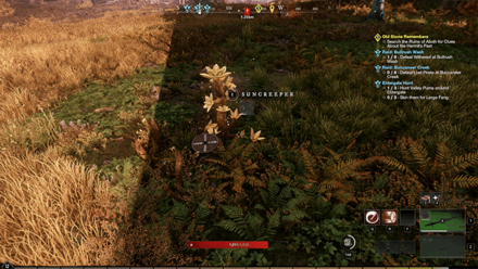 New World - Suncreeper Resource Node