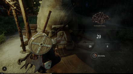 New World Refining Charcoal