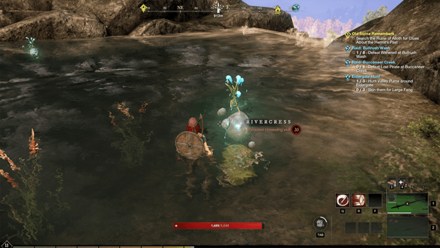 New World - Lake North of Howltower Hollow