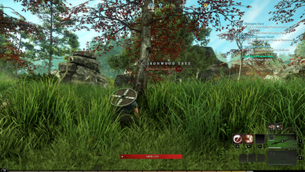 New World - Ironwood Resource Node