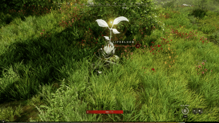 New World - Lifebloom