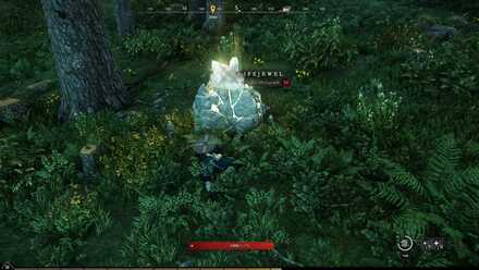 New World Lifejewels