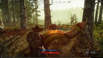 New World Salamander Snail