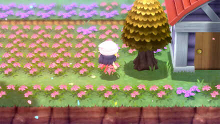 Pokemon BDSP Honey Tree