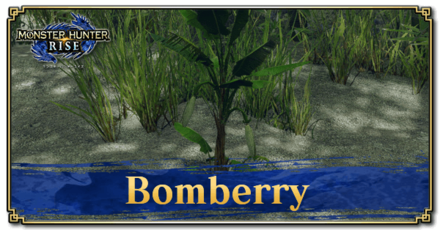 Monster Hunter Rise (MH Rise) - Bomberry Banner