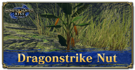 Monster Hunter Rise (MH Rise) - Dragonstrike Nut Banner