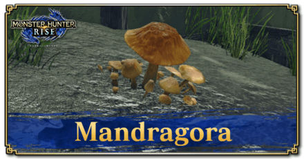 Monster Hunter Rise (MH Rise) - Mandragora Banner