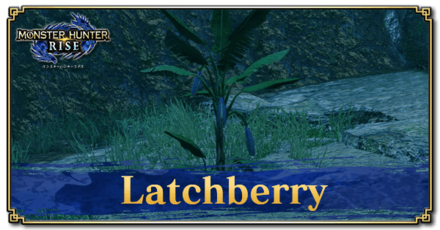 Monster Hunter Rise (MH Rise) - Latchberry Banner
