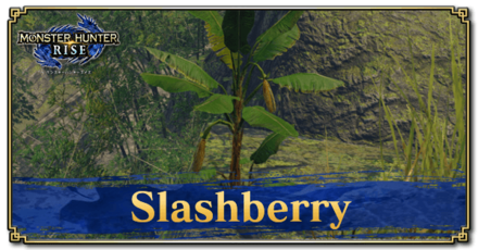 Monster Hunter Rise (MH Rise) - Slashberry Banner