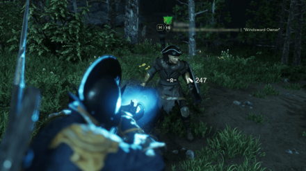 New World - Weapon Mastery EXP