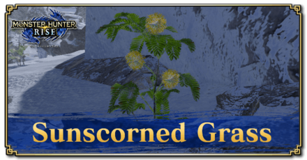 Monster Hunter Rise (MH Rise) - Sunscorned Grass Banner