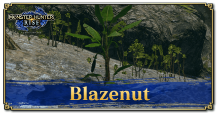 Monster Hunter Rise (MH Rise) - Blazenut Banner