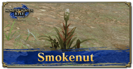 Monster Hunter Rise (MH Rise) - Smokenut Banner