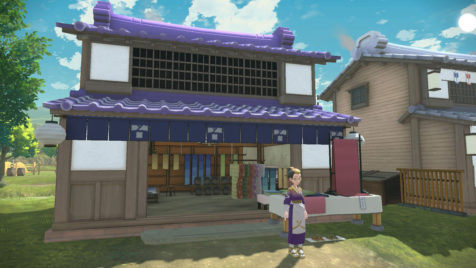 Pokemon Legends Arceus Clothier