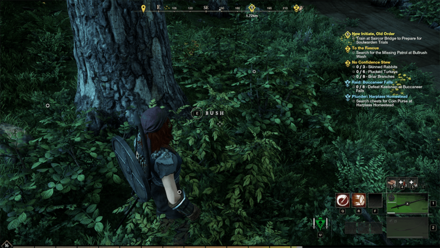 New World - Bushes Resource Node