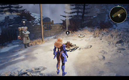 Nevira Snowplains Site.jpg