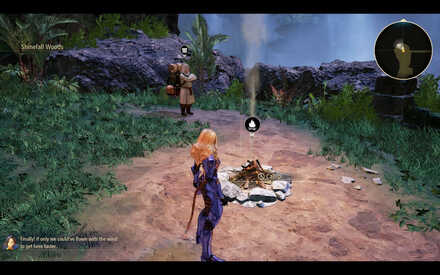 Shinefall Woods Site 2.jpg