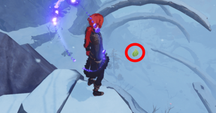 Genshin - Path of Austere Frost Moonchase Charm 17