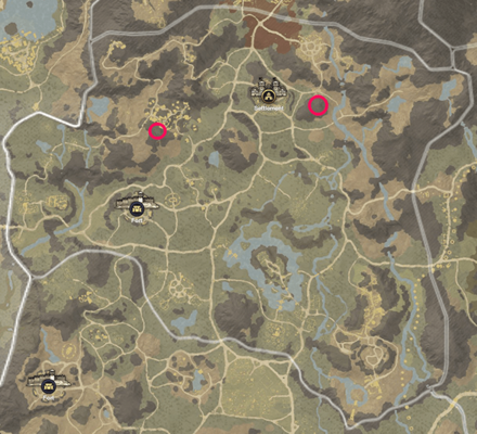 New World - Brightwood Platinum Vein Locations