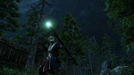 Sword and Shield Life Staff Build