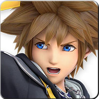 Sora Image