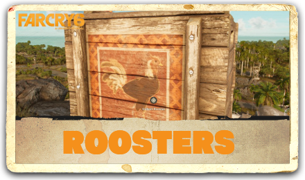 Roosters Guide Banner.png
