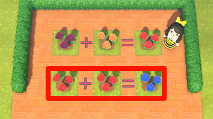 ACNH - Two red hybrid roses beside each other and the resulting blue rose on the right