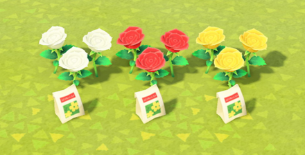 ACNH - Different colored roses with seed packets layed out beside them