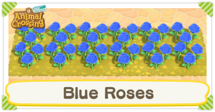 Acnh Blue Roses Chart