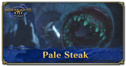 Monster Hunter Rise (MH Rise) - Pale Steak Banner