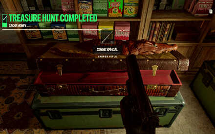 Far Cry 6 - Treasure Hunt - Cache Money - Chest