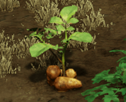 Potatoes Icon