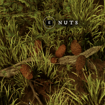 Nuts Icon