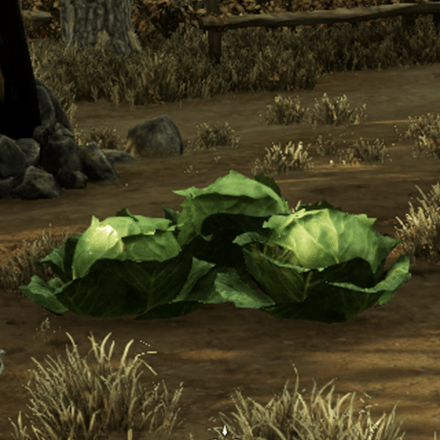 Cabbage Icon