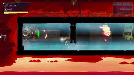 Cataris Button 2.jpg