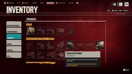 Alpha Crocodile Meat