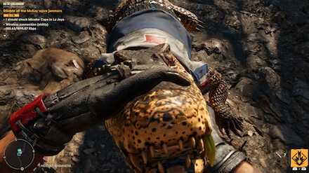 Can You Pet the Croc.jpeg