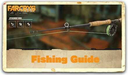 Fishing Guide: How to Fish