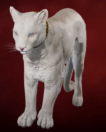 Far Cry 6 - Champagne.jpg