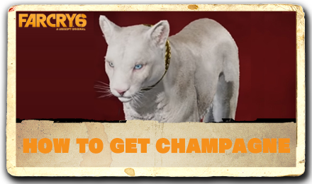 Far Cry 6 - How to Get Champagne.png