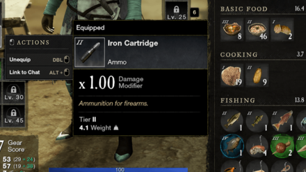 New World - Ammunition for Muskets