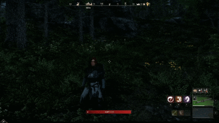 New World - Using Consumbale Item