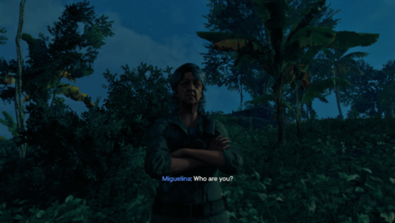Talk to Miguelina.png