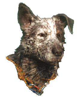 Boom Boom Amigo Icon.png